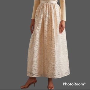 Anthropologie Burnout Shimmer Maxi Skirt Size M